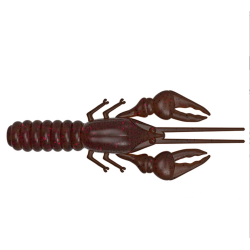 copy of champú Lavanda